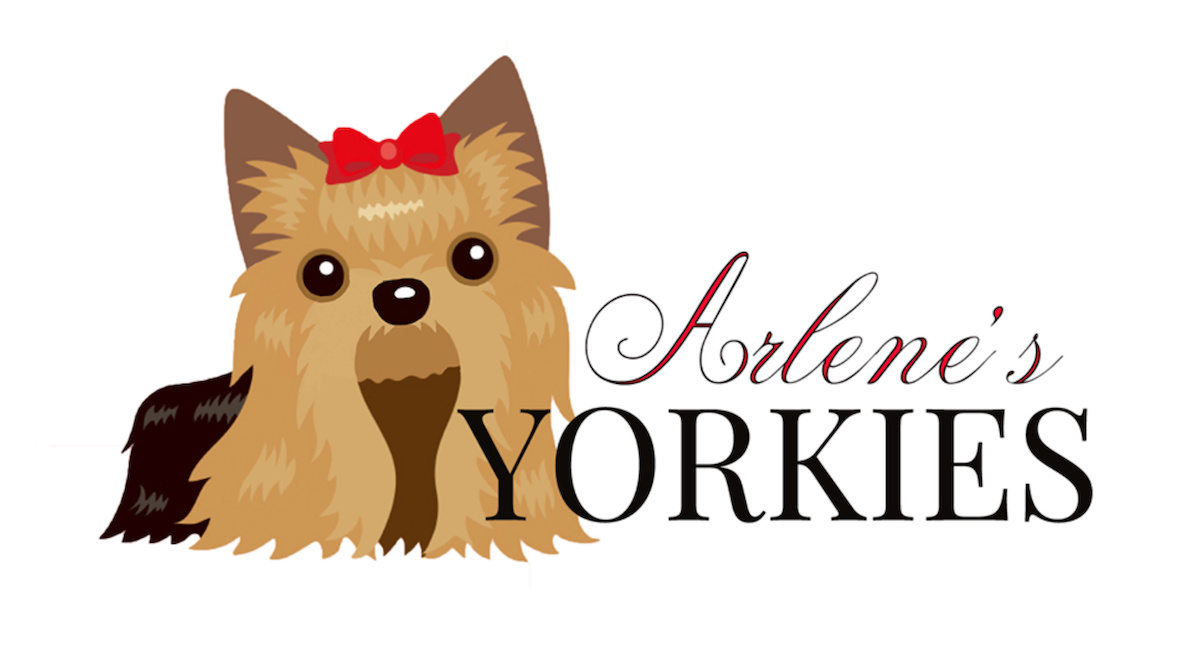 Arlene's Yorkies